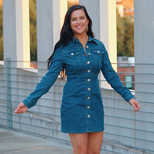 Langford Denim Dress